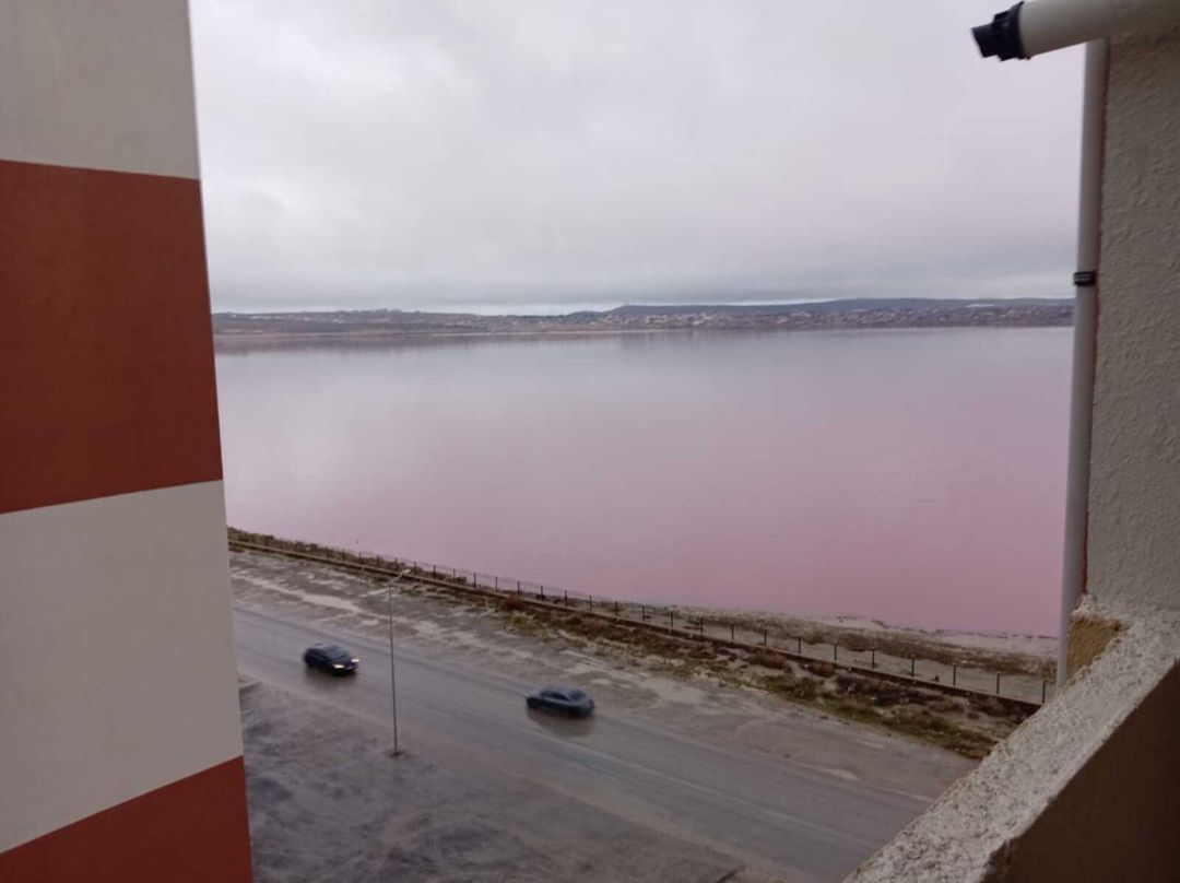 2-otaqlı yeni tikili, Masazır qəs., 50 m² — Daşınmaz əmlak, Bakı (11)