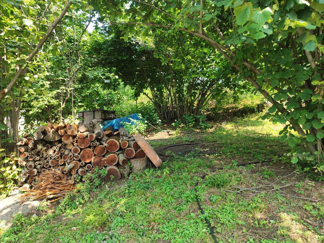 5 sot torpaq sahəsi, İsmayıllı r. — Torpaq, İsmayıllı (4)