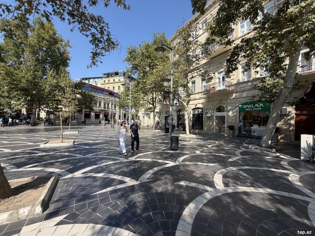 Obyekt icarəyə verilir, Fəvvarələr Meydanı küç. 7 — Daşınmaz əmlak, Bakı (4)