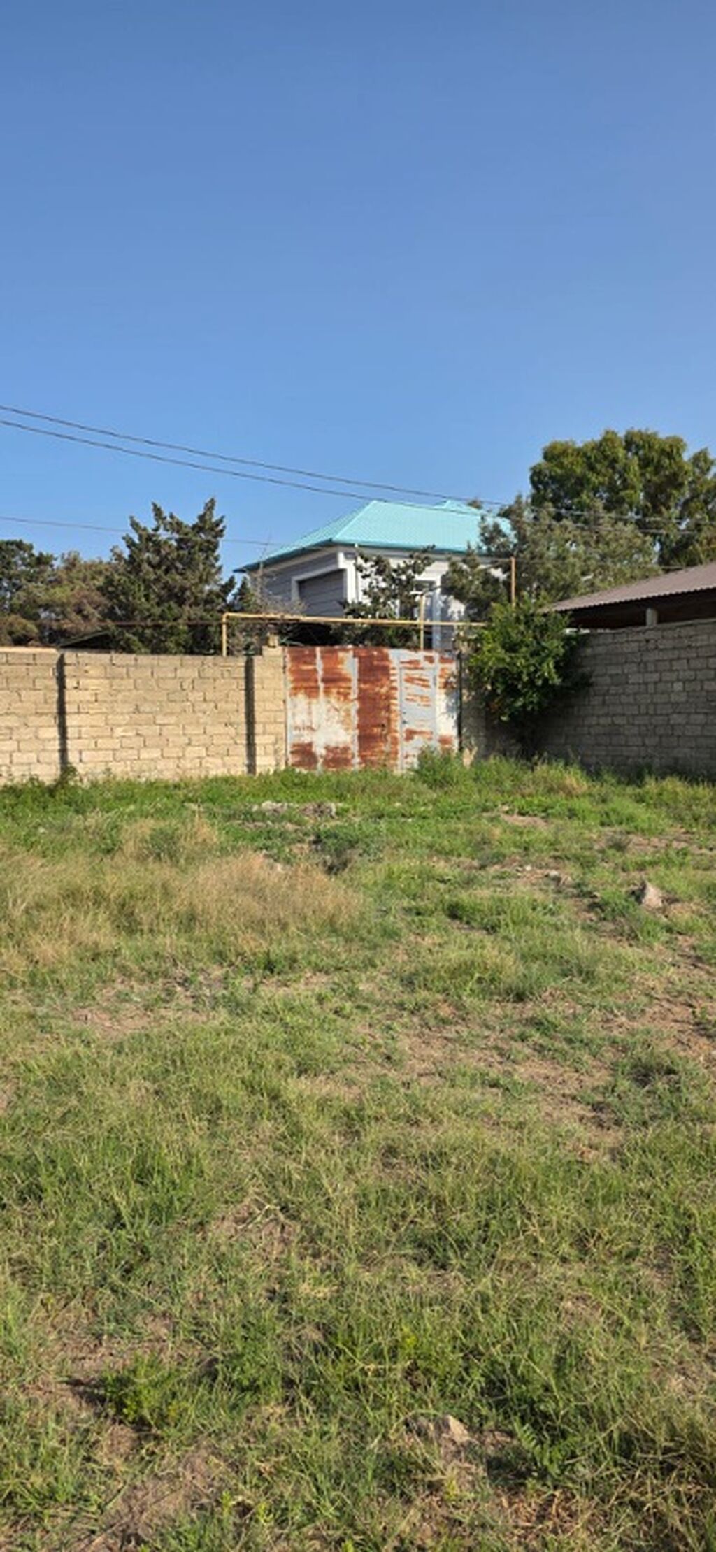 50 sot, Tikinti, Kupça (Çıxarış) — Torpaq, Digah (2)