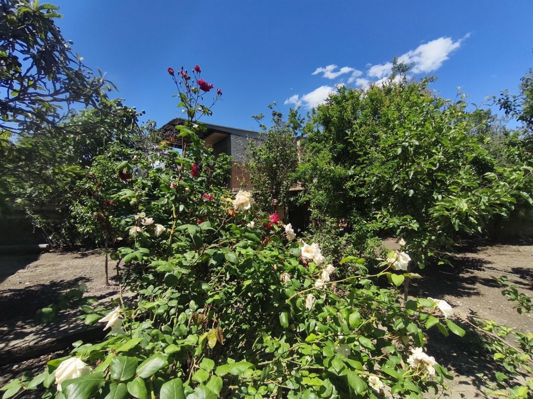 Həyət evi, Gəncə ş. — Ev, villa, Gəncə (11)