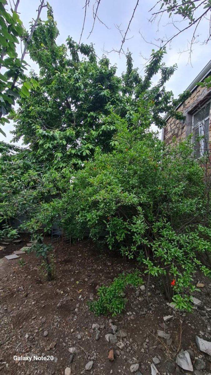 Həyət evi, Gəncə ş. — Daşınmaz əmlak, Gəncə (8)