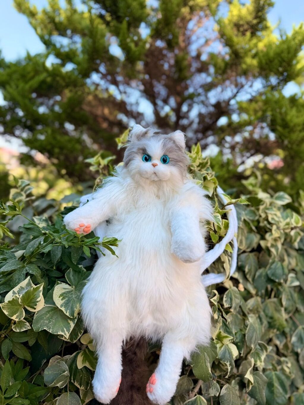 Məhsul: Realistik pişik peluş oyuncaqları - Növlər: 3 fərqli rəng — Yumşaq oyuncaqlar, Bakı (4)