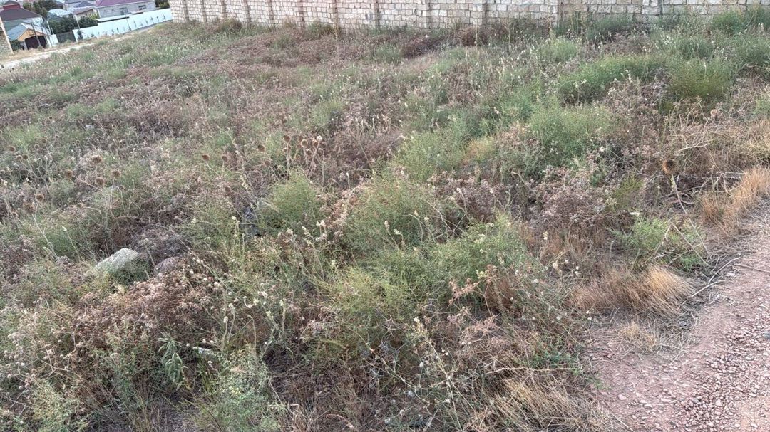 5 sot torpaq sahəsi, Mehdiabad qəs. — Torpaq, Bakı