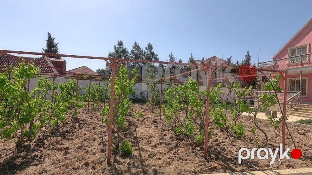 Satılır torpaq 12 sot — Torpaq, Bakı (2)