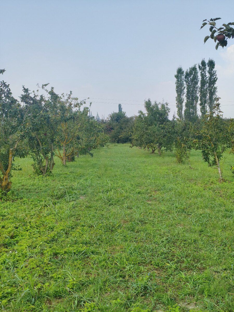 156 sot torpaq sahəsi, Xaçmaz r. — Torpaq, Xaçmaz (5)