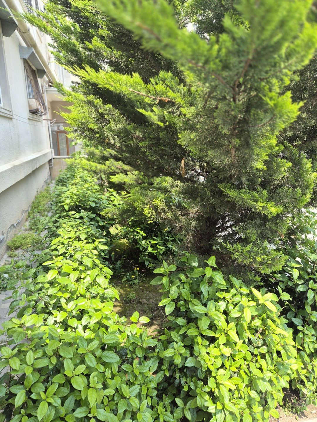 Satılır 2 otaqlı köhnə tikili 52 m² — Mənzil, Bakı (10)