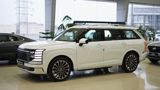 Hyundai Palisade 25 L 2025 il yeni — Hyundai Azerbaijan