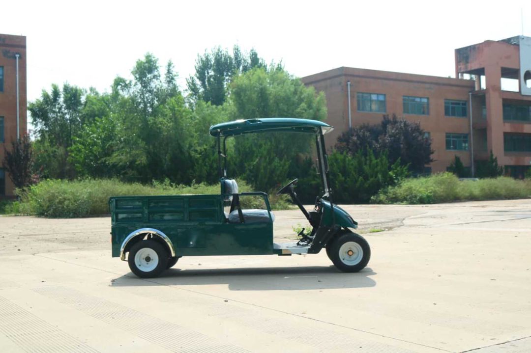 Golfcar Pickup, 2026 — Avto, Bakı (3)