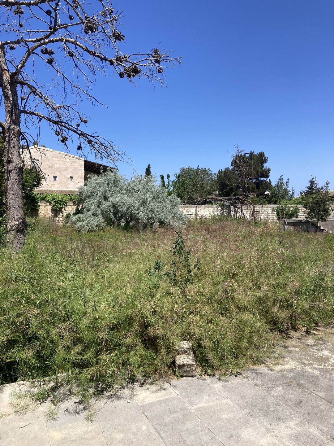Satılır torpaq 16.7 sot — Torpaq, Bakı (12)