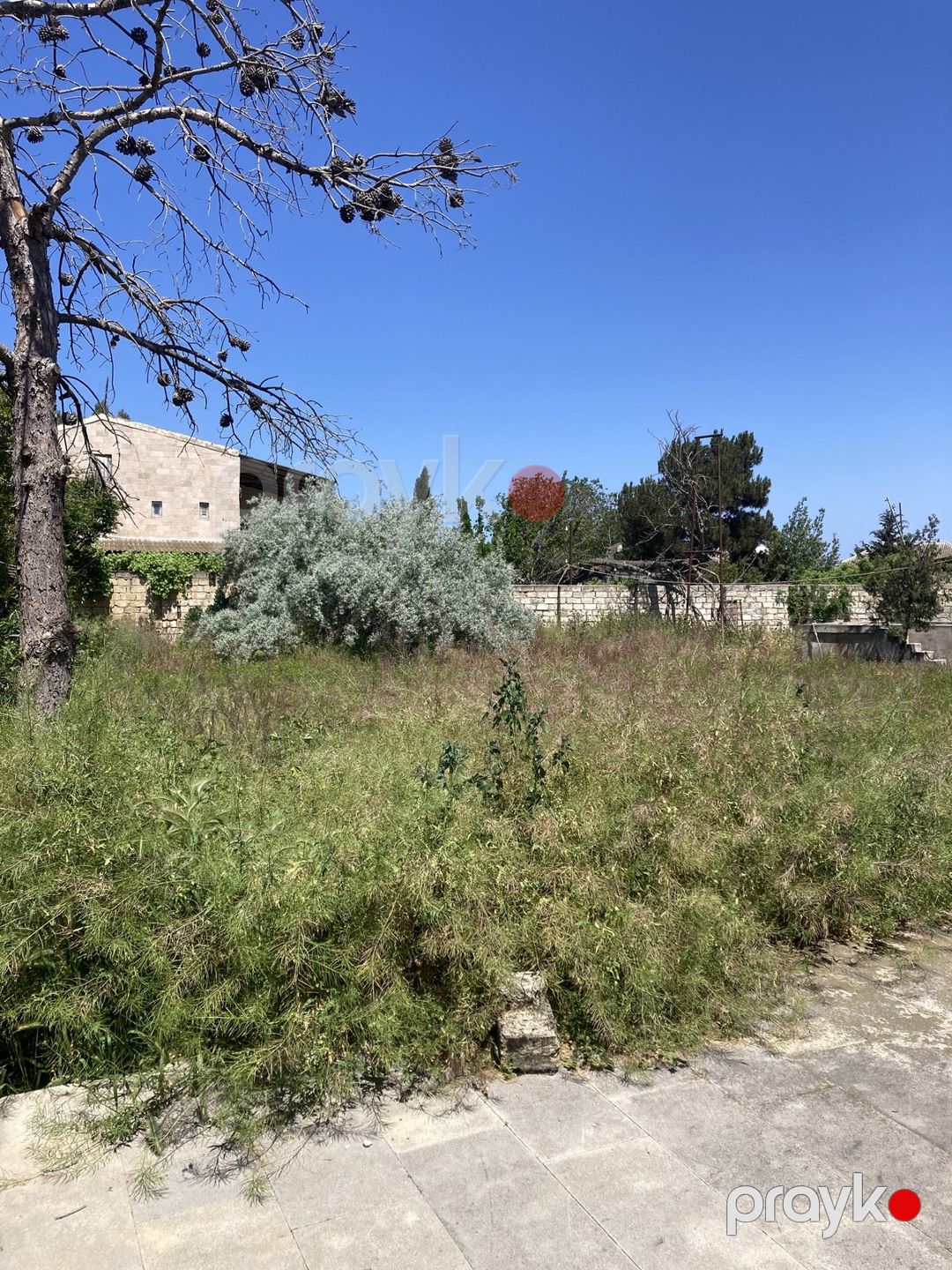 Satılır torpaq 16.7 sot — Torpaq, Bakı (12)
