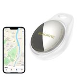 Professional GPS — Cars