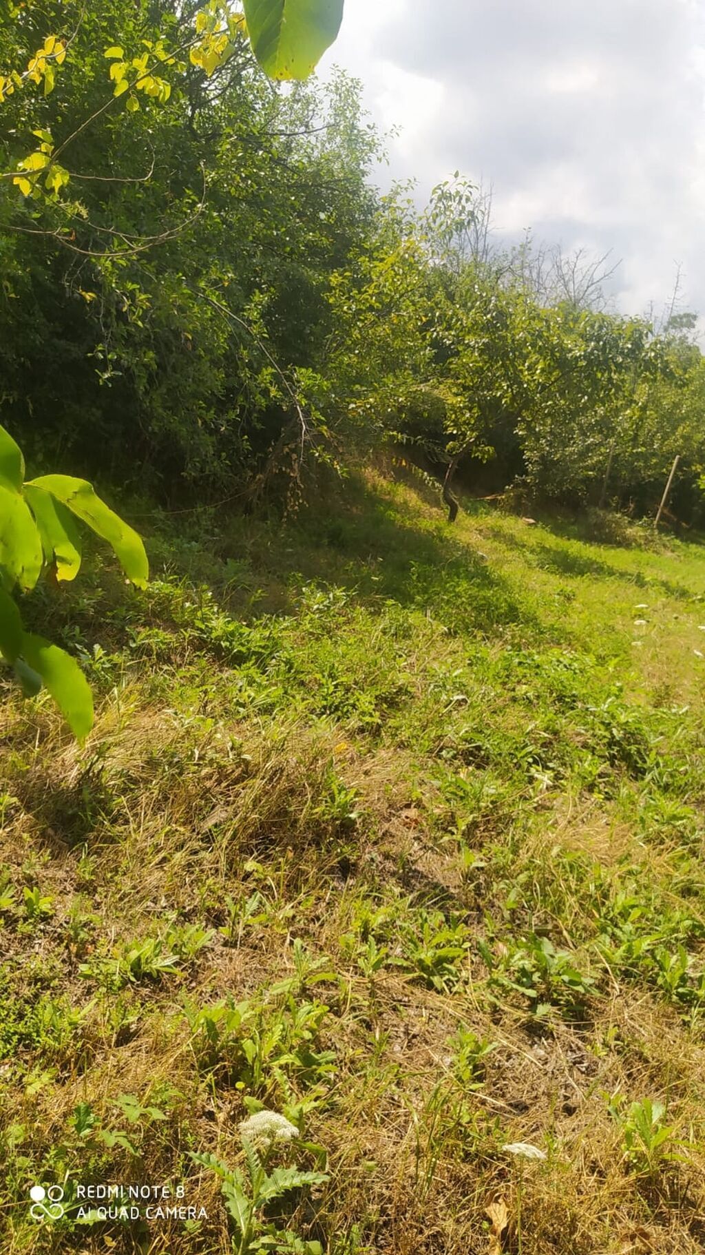 Gəncə, 4 kv. m, 1 otaqlı, Hovuzsuz, Su — Daşınmaz əmlak, Gəncə (2)