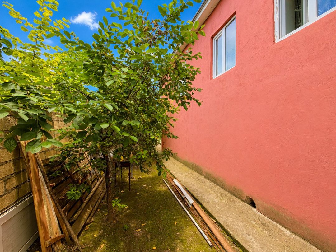 6 sot torpaq sahəsi, Qusar ş. — Torpaq, Qusar (6)