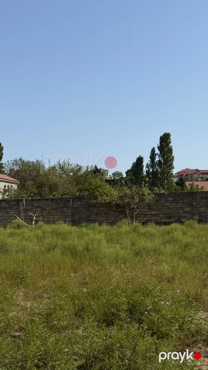 Satılır torpaq 370 sot — Torpaq, Bakı (5)