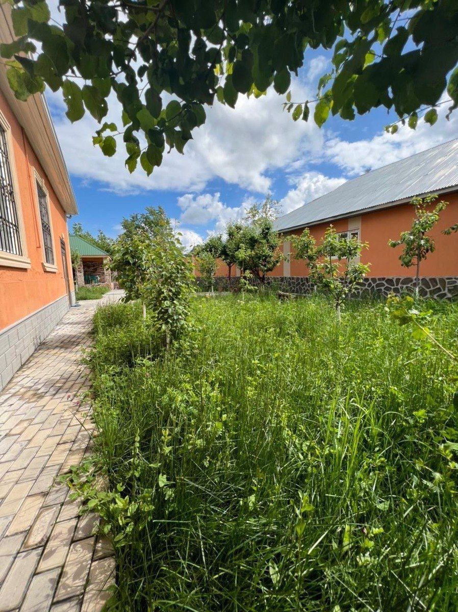 İcarəyə verilir 4 otaqlı həyət evi/bağ evi 200 m² — Ev, villa, Qəbələ (12)