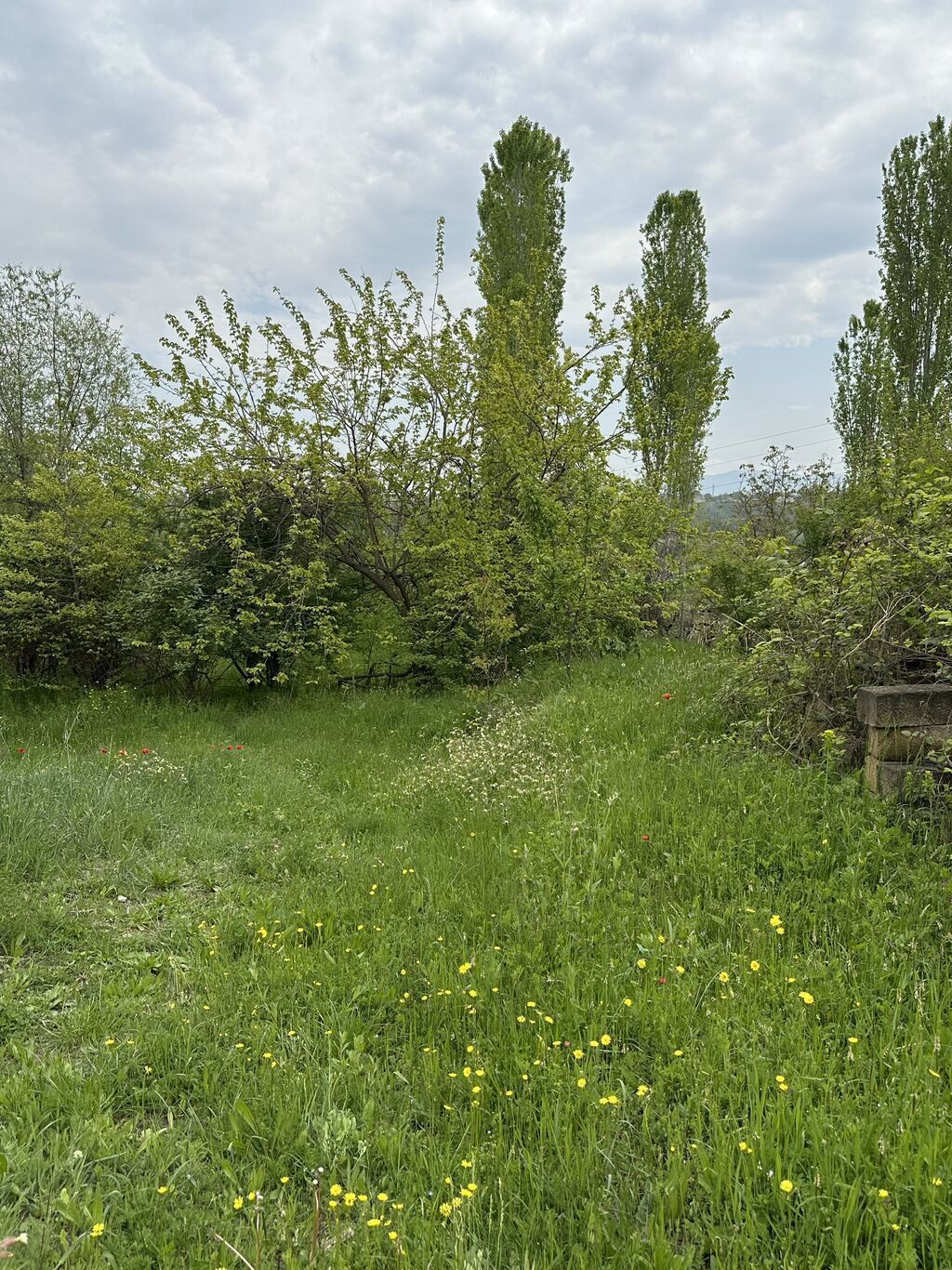 32 sot, Tikinti, Mülkiyyətçi, Kupça (Çıxarış) — Torpaq, Gəncə (6)