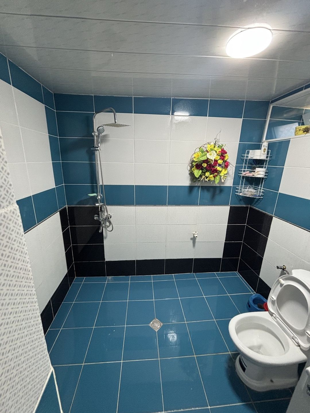 İcarəyə verilir 4 otaqlı həyət evi/bağ evi 200 m² — Ev, villa, Qəbələ (7)
