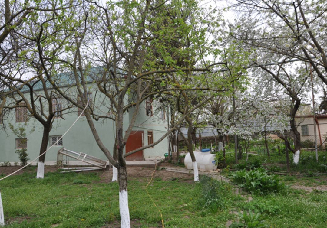 Bağ evi, Şamaxı r. — Daşınmaz əmlak, Şamaxı (3)
