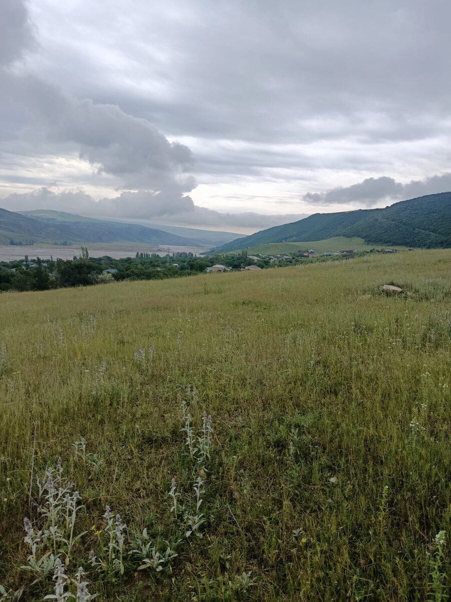 300 sot torpaq sahəsi, Şamaxı r. — Torpaq, Şamaxı (5)