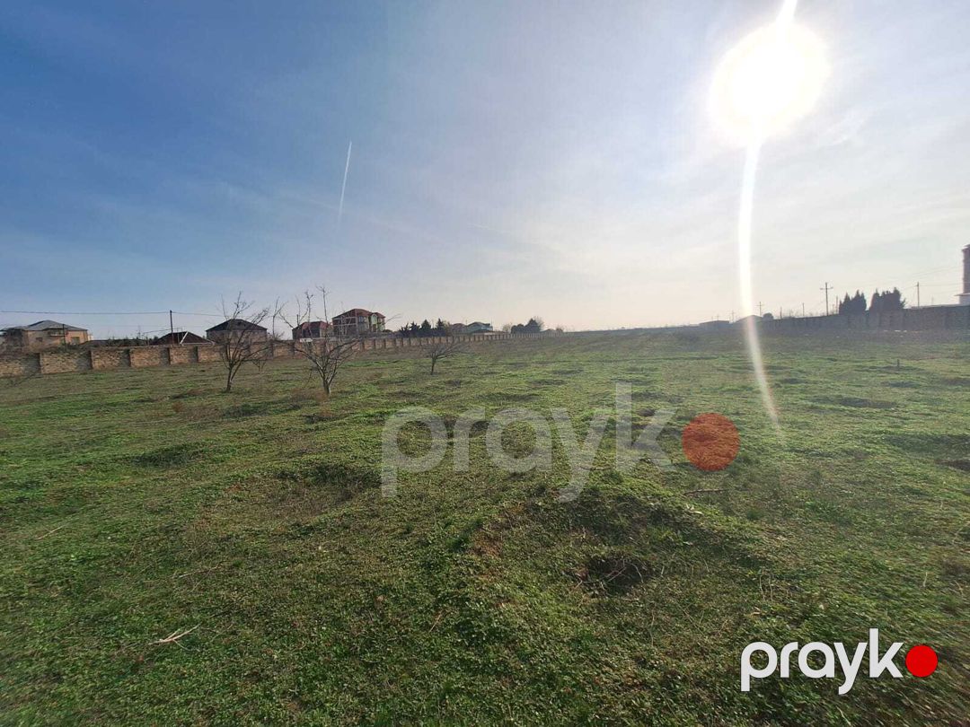 Satılır torpaq 31 sot — Torpaq, Bakı (3)