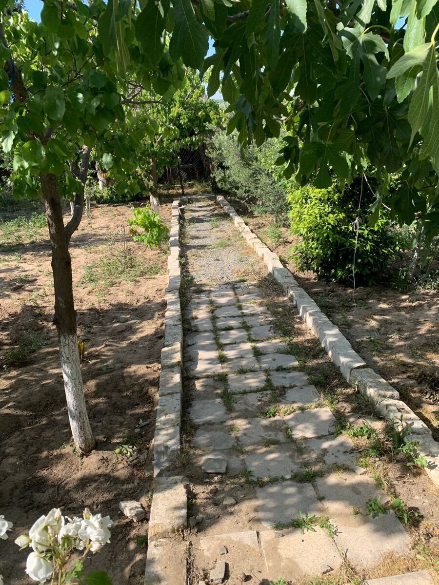 Satılır torpaq 12 sot — Torpaq, Bakı (4)