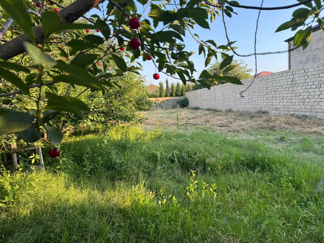 Satılır torpaq 10 sot — Torpaq, Bakı (9)