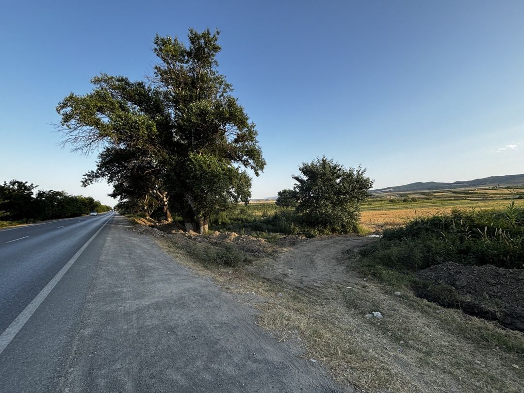 189 sot torpaq sahəsi, Quba r. — Torpaq, Şabran (2)