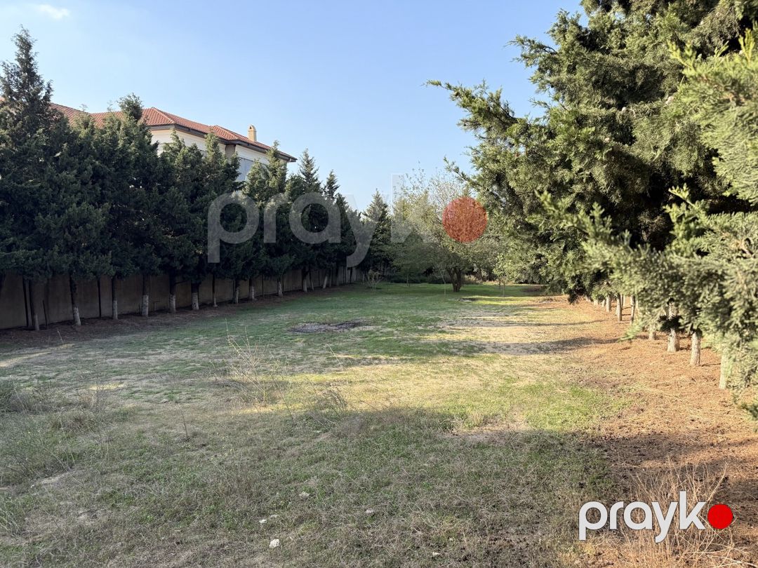 18 sot torpaq sahəsi, Bilgəh qəs — Torpaq, Bakı (4)