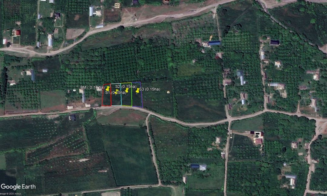 Satılır torpaq 45 sot — Torpaq, Qəbələ (8)