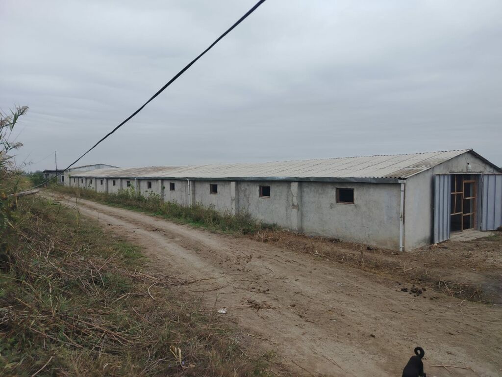 Ferma mal bazarina bir kilometr mesafede yerlesirqarabag su — Daşınmaz əmlak, Bərdə (10)
