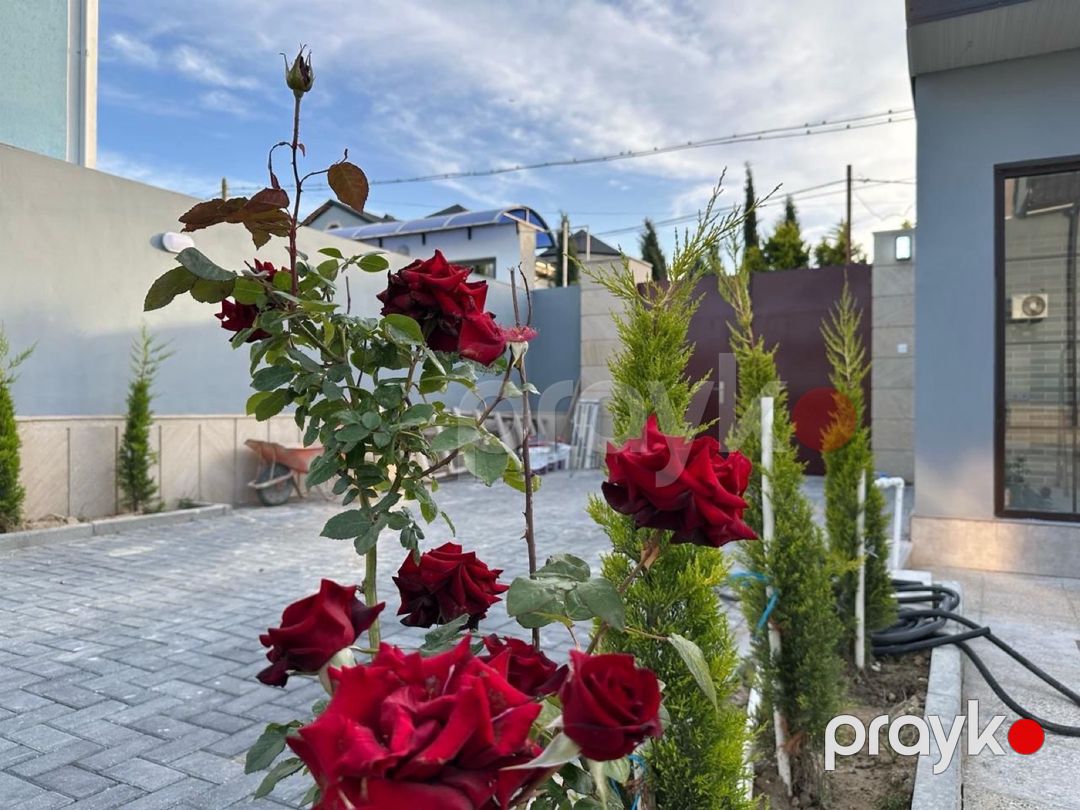 Villa kirayə verilir, Mərdəkan qəs — Ev, villa, Bakı (9)