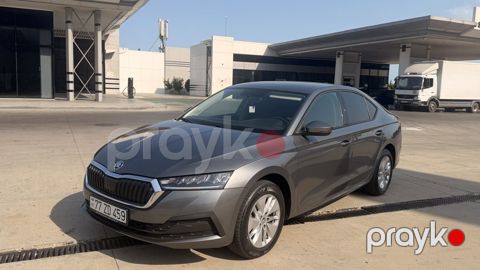 Skoda Octavia, 1.6 L, 2023 il, 62 000 km