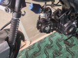 Tufan - m50, 80 sm3, 2023 il, 5 km — Мотоциклы