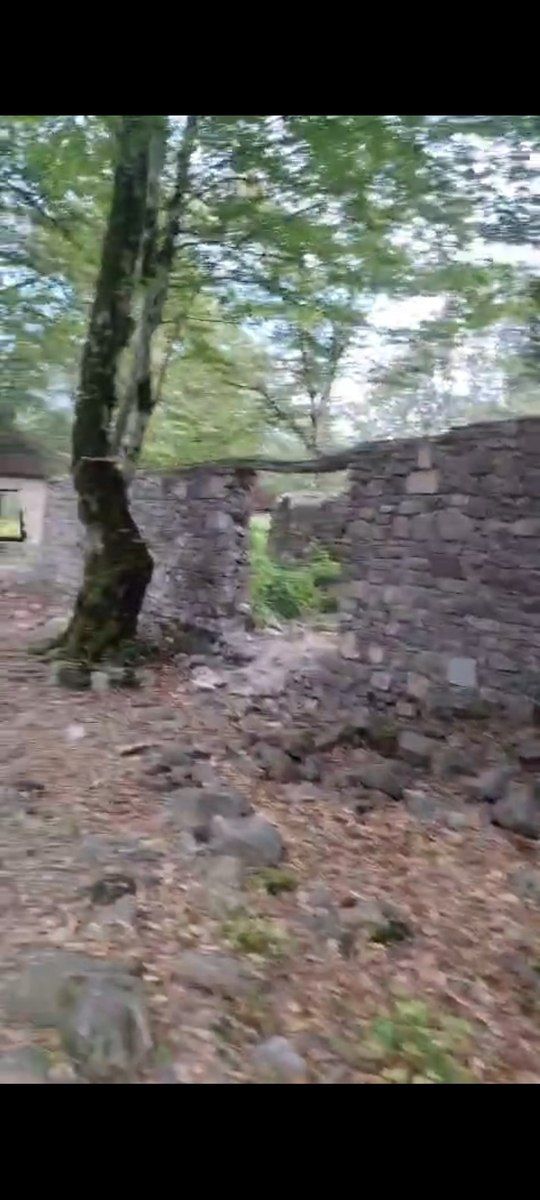 2000 sot torpaq sahəsi, Oğuz r. — Torpaq, Oğuz (4)
