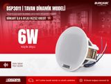 6W Tavan dinamik modeli "DSPPA 3011" — Eurosec — Elektronika