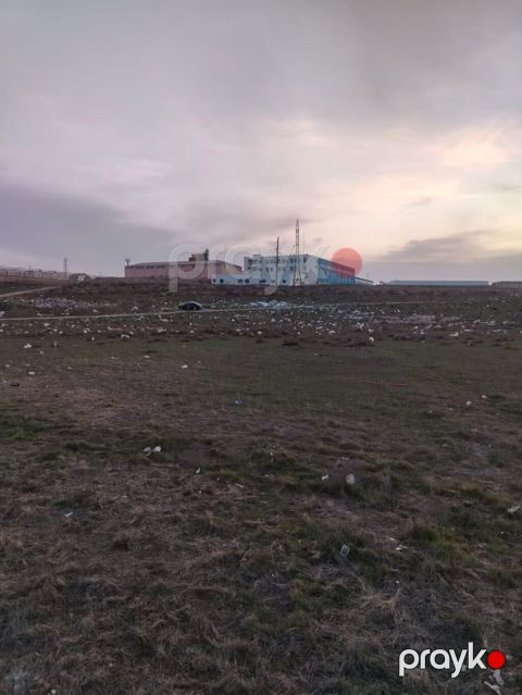 34 sot torpaq, Kənd təsərrüfatı, Çıxarış, Saray Qəsəbəsi
