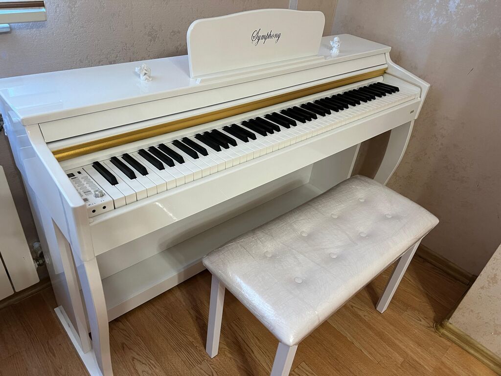 Piano, Rəqəmsal, Yeni, Ünvandan götürmə — Musiqiə alətləri, Bakı (4)
