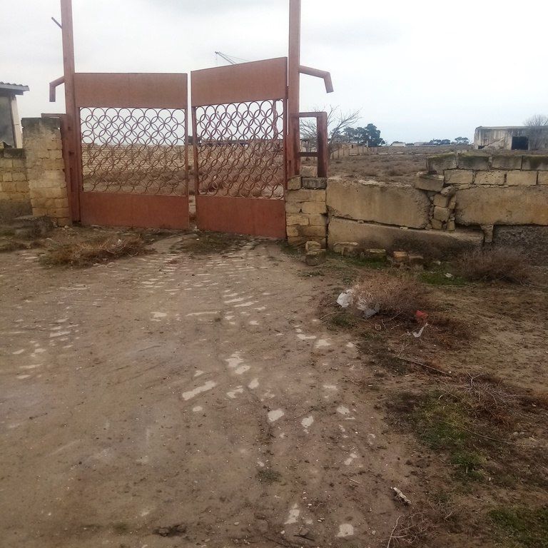 Satılır torpaq 145 sot — Torpaq, Bakı (5)