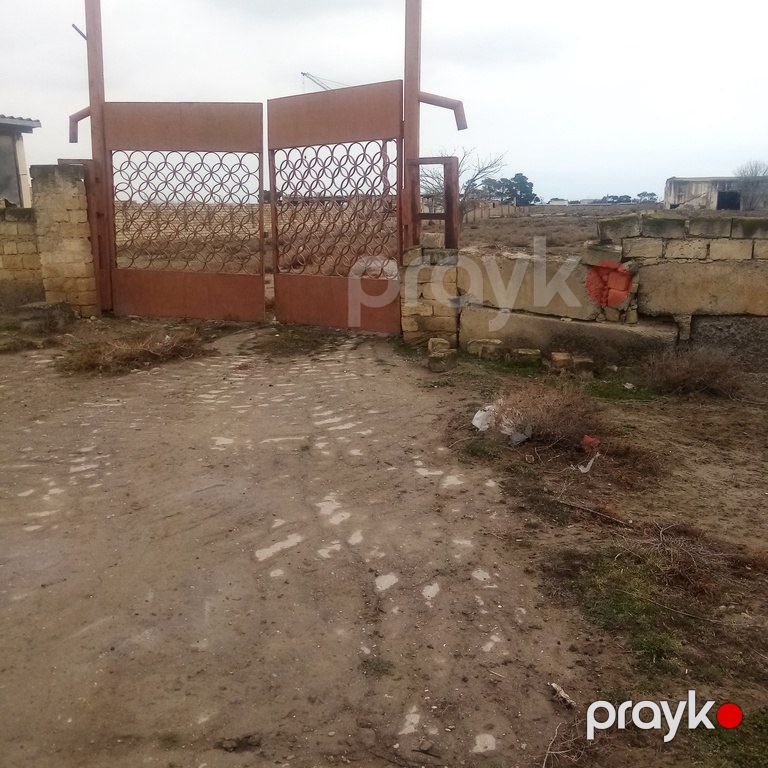 Satılır torpaq 145 sot — Torpaq, Bakı (5)