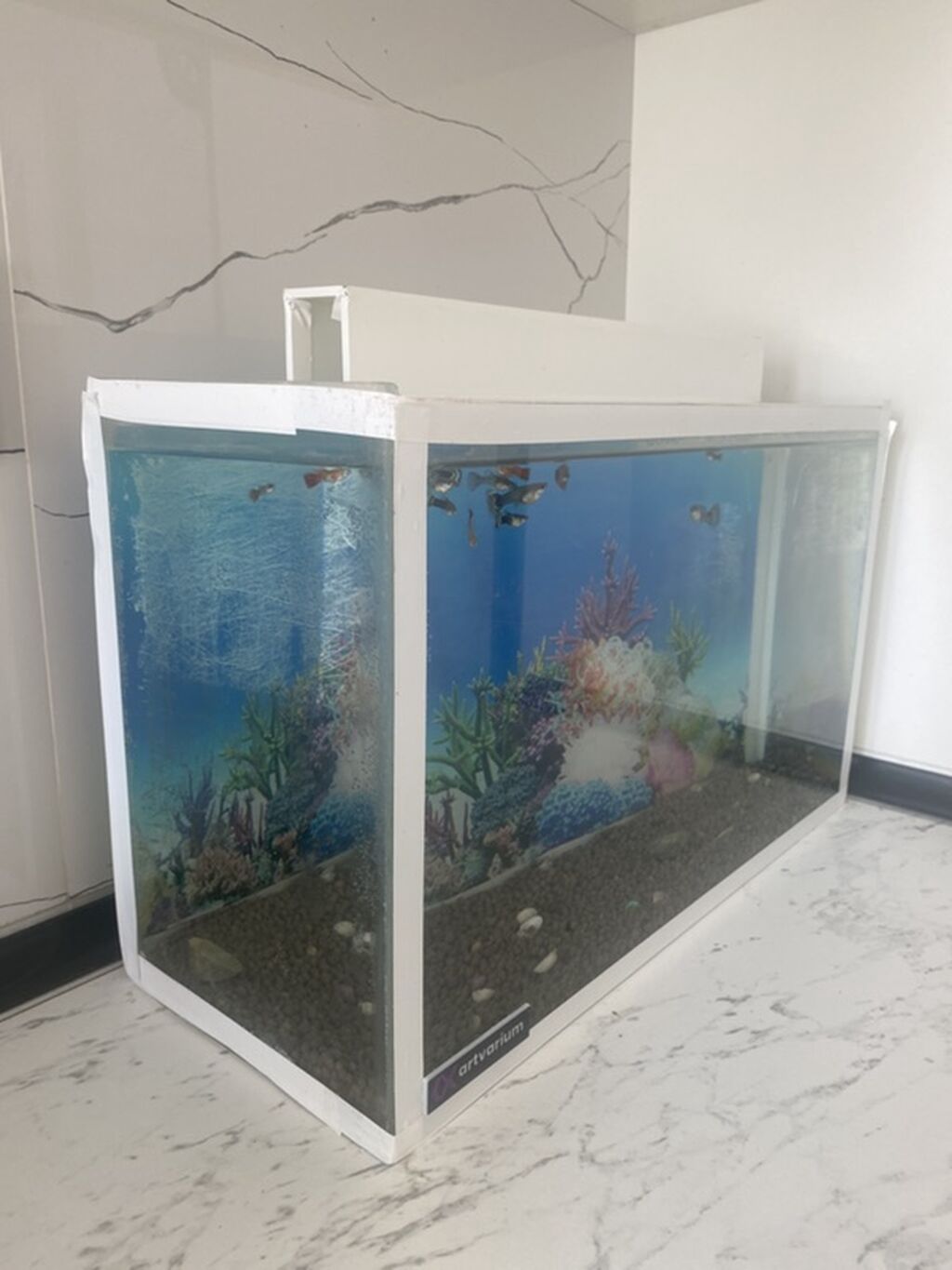 Dördbucaq akvarium, Balıqlarla birlikdə, 15 l, Ünvandan götürmə — Heyvanlar, Digah (5)