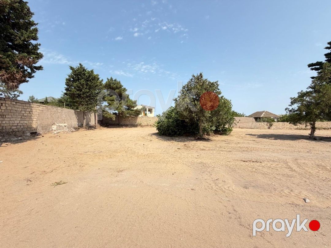 Satılır torpaq 8 sot — Torpaq, Bakı (4)