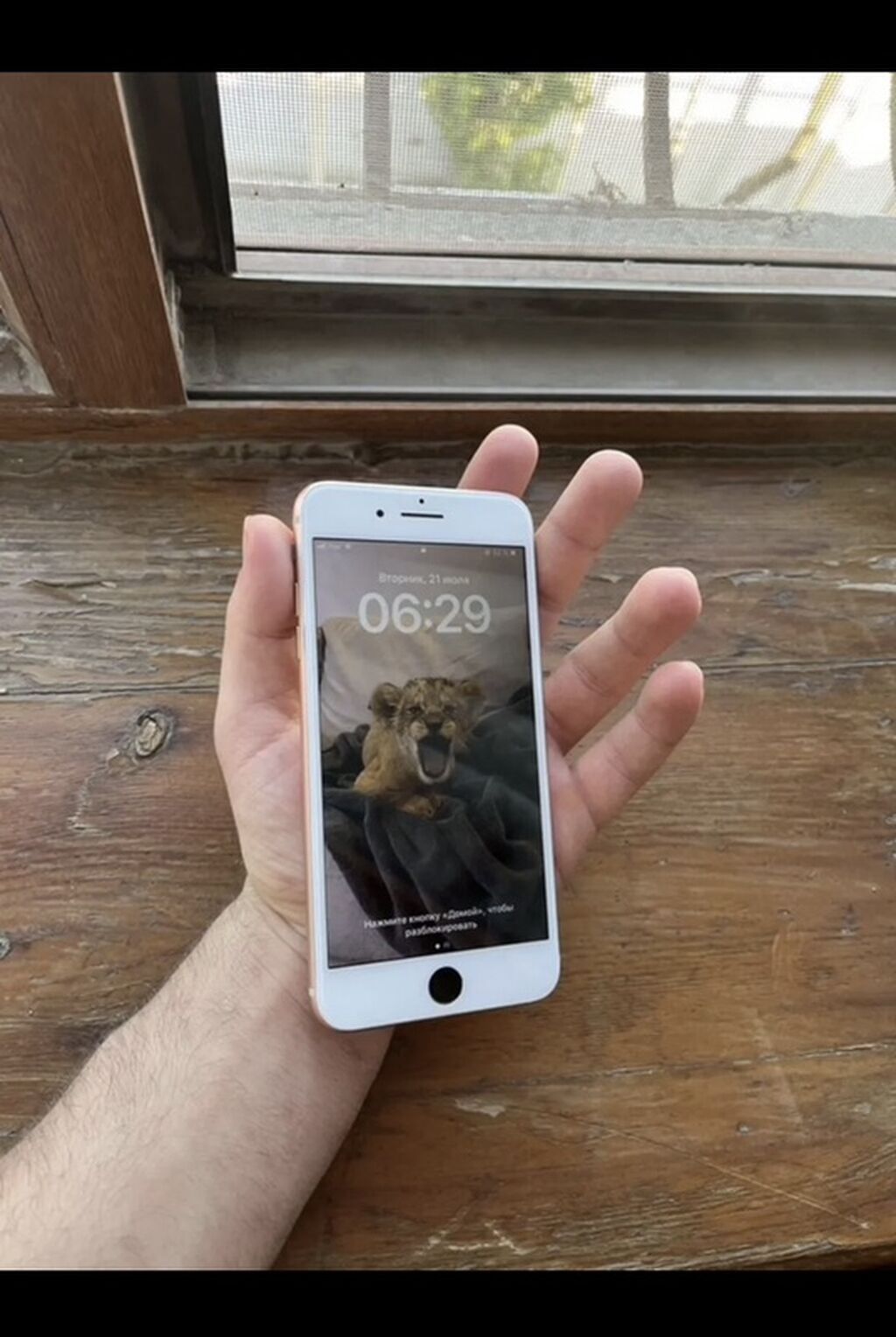 IPhone 8 Plus, Qızılı, Barmaq izi — Apple iPhone, Bakı (2)