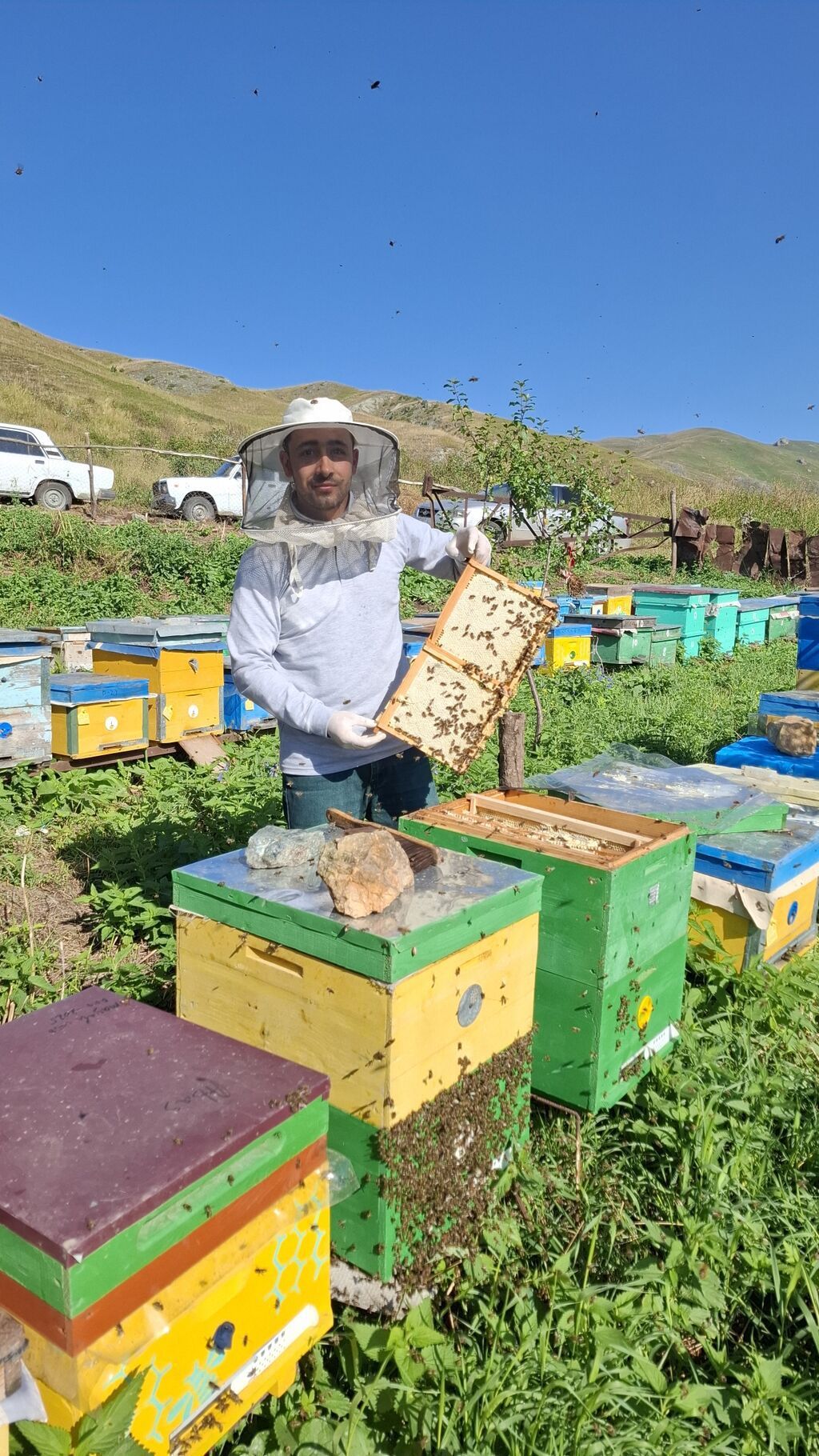 Kəlbəcər Şan Balı Təbii şan balının saf dadını və dağ florasının — Qida məhsulları, Digah (4)