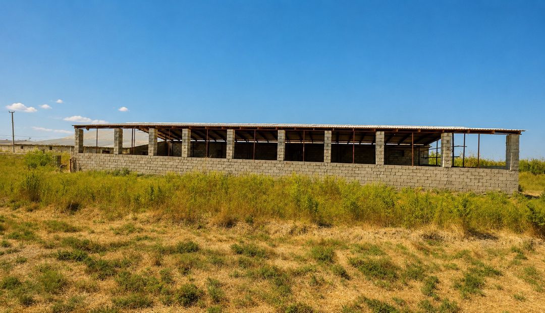 Satılır obyekt 7000 m² — Əmlak, Salyan (6)