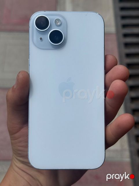 IPhone 14, Ağ