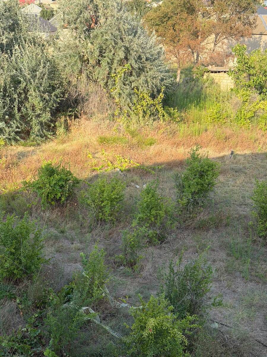 10 sot torpaq sahəsi, Sumqayıt ş. — Torpaq, Sumqayıt (3)
