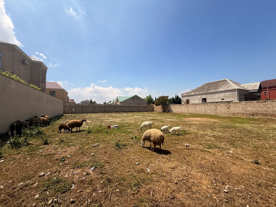 Satılır torpaq 14 sot — Torpaq, Bakı (5)