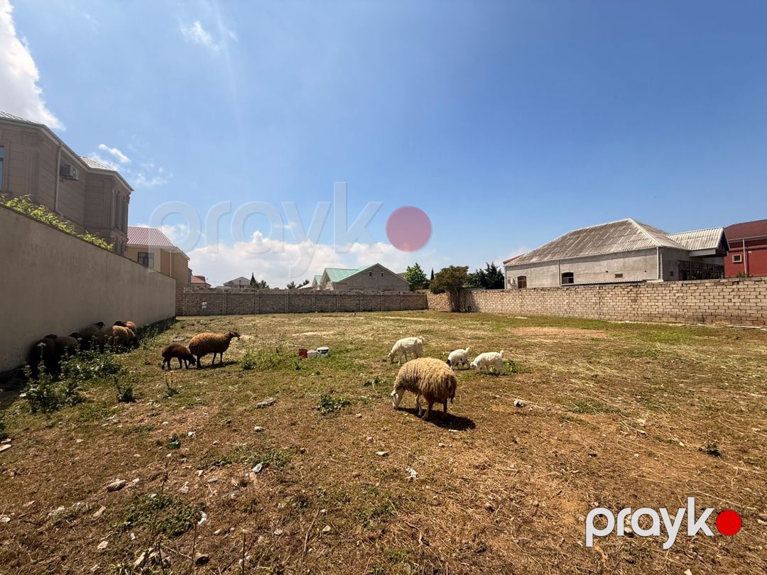 14 sot torpaq sahəsi, Buzovna qəs — Torpaq, Bakı (5)