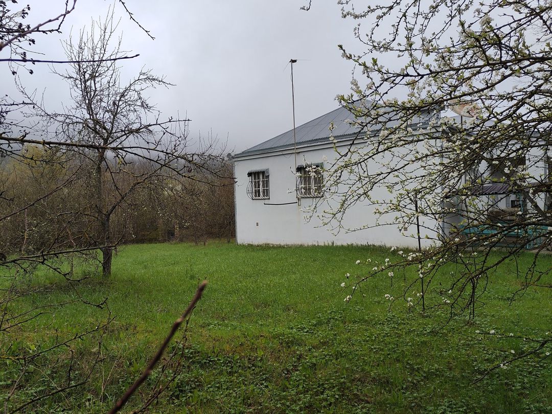 Satılır 3 otaqlı həyət evi/bağ evi 110 m² — Ev, villa, Quba (4)